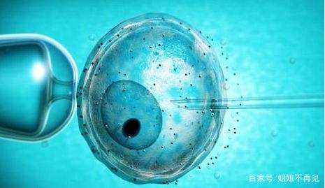 私人同性供卵代孕报价多少生殖医学中心